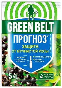 Прогноз  5мл (200)(Техно)