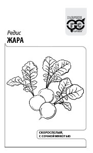 Б/П Редис "Жара" (Г)  3 гр.