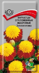 Бархатцы "Золотая головка" (П) 0,4гр   25см