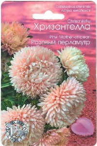 Астра  Хризантелла "Розовый перламутр" (БИО) 30шт